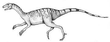 Nqwebasaurus dinosaurs
