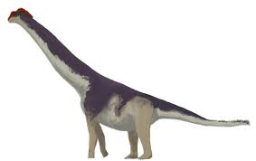 Ornithopsis dinosaurs