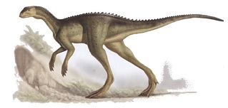 Oryctodromeus dinosaurs