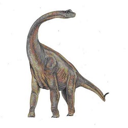 Paluxysaurus dinosaurs