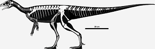Pampadromaeus dinosaurs
