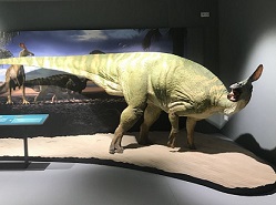 Pararhabdodon dinosaurs
