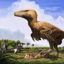 Paronychodon dinosaurs