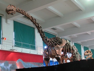 Patagosaurus dinosaurs