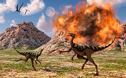 Pelecanimimus dinosaurs