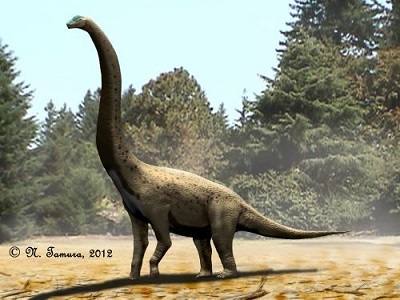 Pelorosaurus dinosaurs