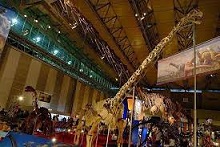 Phuwiangosaurus dinosaurs