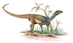 Pisanosaurus dinosaurs