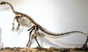 Plateosaurus dinosaurs