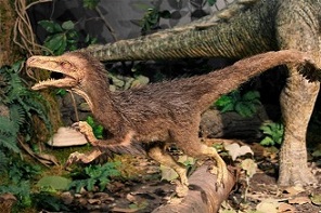 Pneumatoraptor dinosaurs