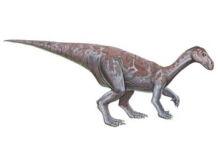 Probactrosaurus dinosaurs