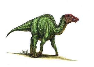 Prosaurolophus dinosaurs