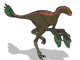 Protarchaeopteryx dinosaurs