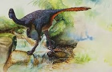 Protarchaeopteryx dinosaurs