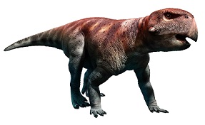 Psittacosaurus dinosaurs