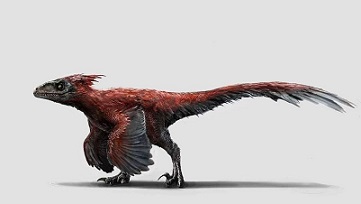 Pyroraptor dinosaurs