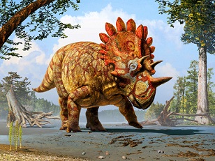 Regaliceratops dinosaurs