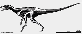 Sanjuansaurus dinosaurs