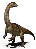 Sarahsaurus dinosaurs