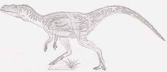 Sarcosaurus dinosaurs