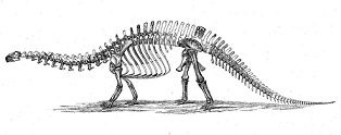 Savannasaurus dinosaurs