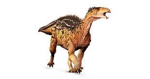 Scelidosaurus dinosaurs