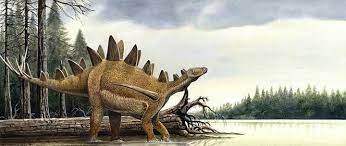 Dacentrurus Dinosaur