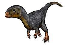 Daemonosaurus Dinosaur