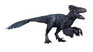 Dakotaraptor Dinosaur