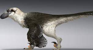 Dakotaraptor 