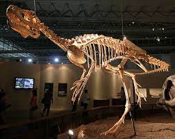 Deltadromeus Dinosaur