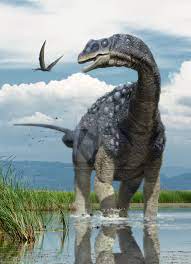 Diamantinasaurus Dinosaur