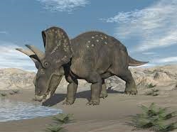 Diceratops Dinosaur