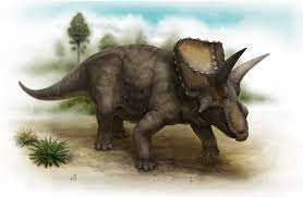 Diceratops 