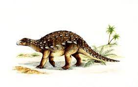 Dracopelta Dinosaur