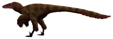 Dromaeosauroides Dinosaur