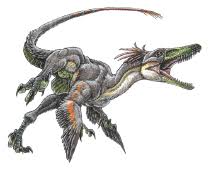 Dromaeosauroides 