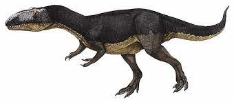 Dubreuillosaurus Dinosaur