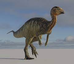 Dysalotosaurus 