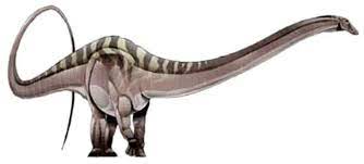 Dyslocosaurus Dinosaur