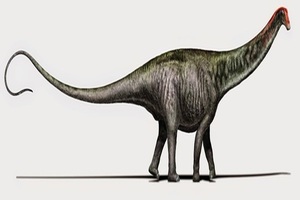 Dyslocosaurus 