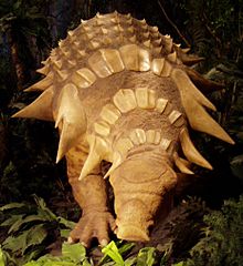 Edmontonia 