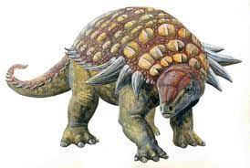 Edmontonia 