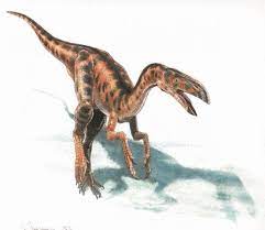 Elmisaurus 