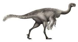 Elmisaurus 