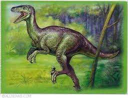 Elopteryx Dinosaur