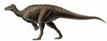 Elrhazosaurus 