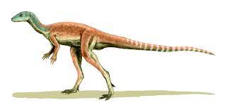 Eocursor Dinosaur