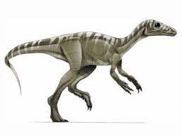 Eoraptor Dinosaur