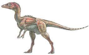 Eoraptor 